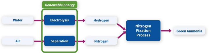 Figure 2. Green ammonia production. Diagram adapted from The Royal Society’s “Ammonia – zero-carbon fertiliser, fuel andenergy store” policy briefing